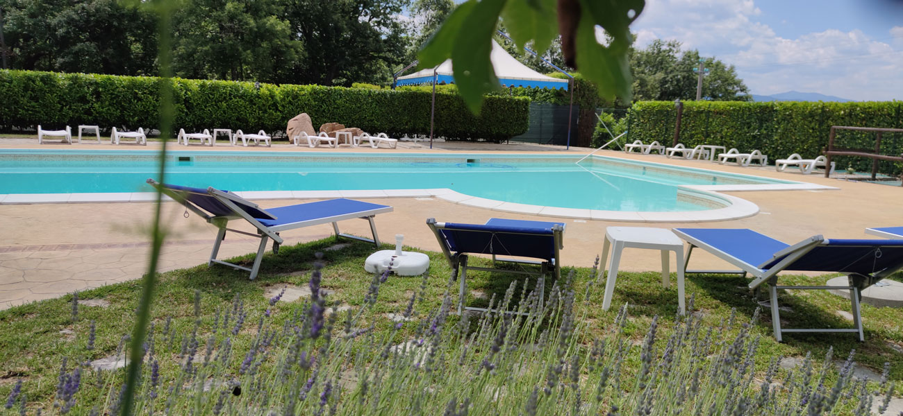 Bordo piscina con lettini e vegetazione in primo piano